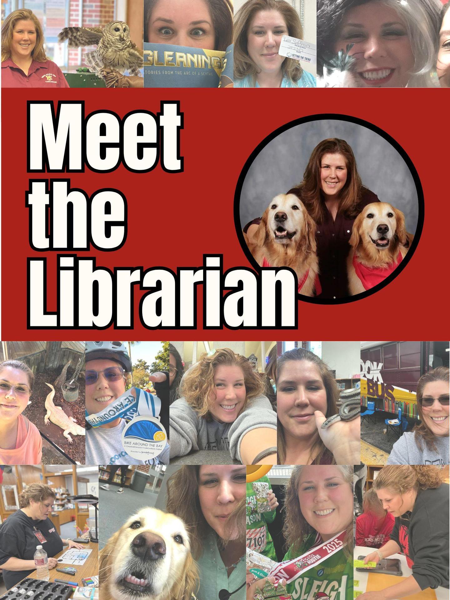 Meet the Library Media Specialist 