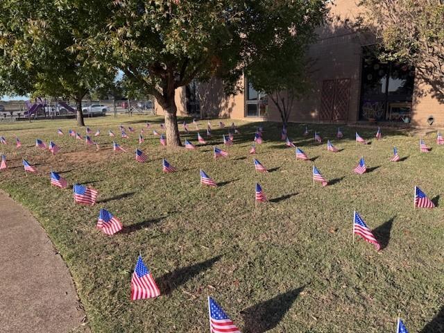 Field of Flags