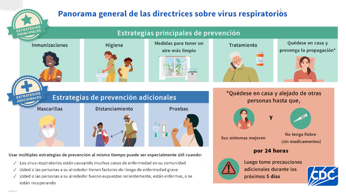 Respiratory Viruses Flyer - Spanish