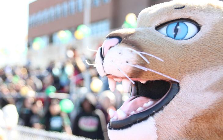 cougar mascot