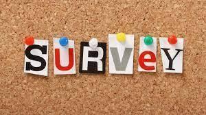 Survey Logo