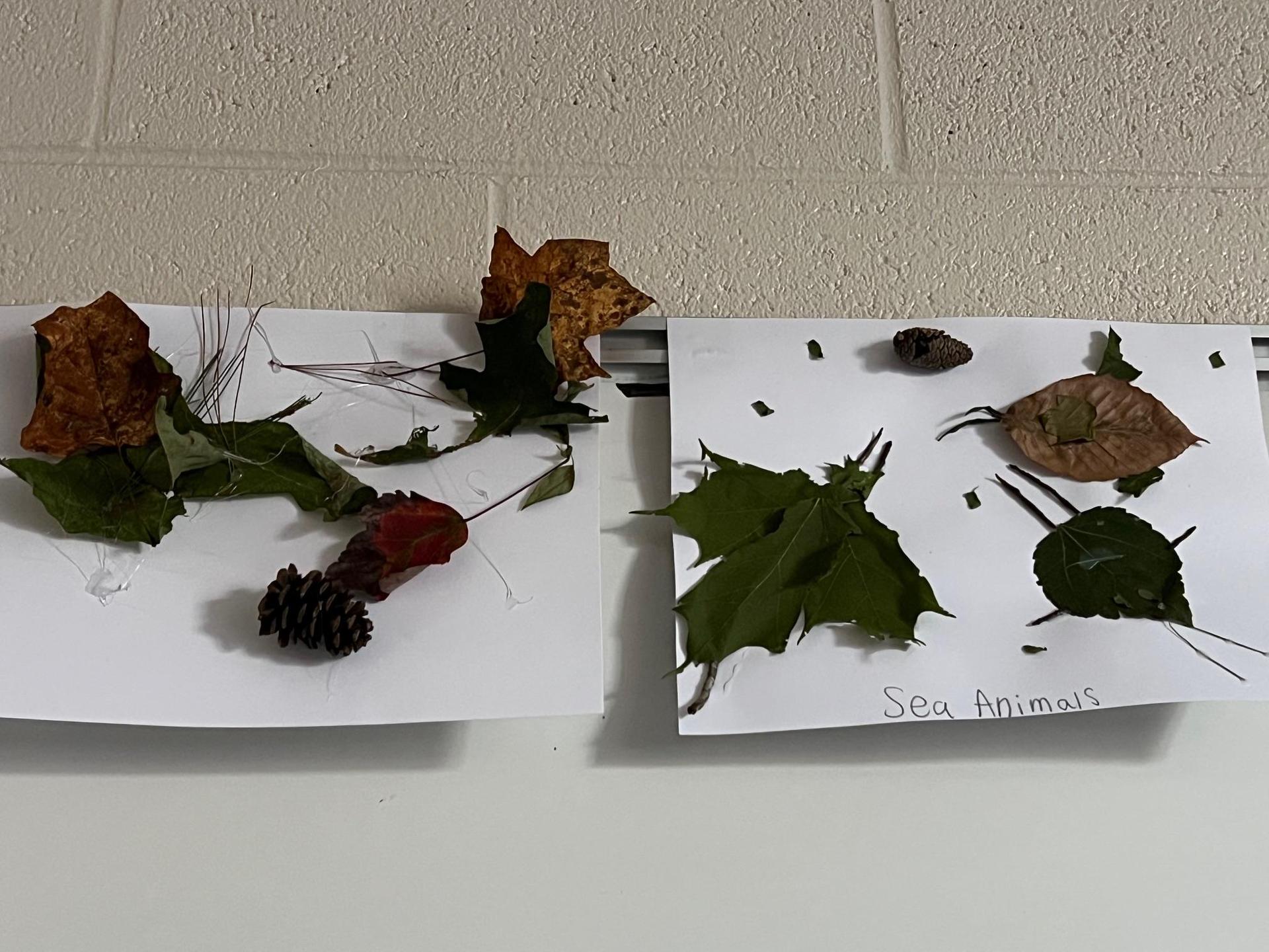 Craft project featuring leaves and pinecones mounted on paper.