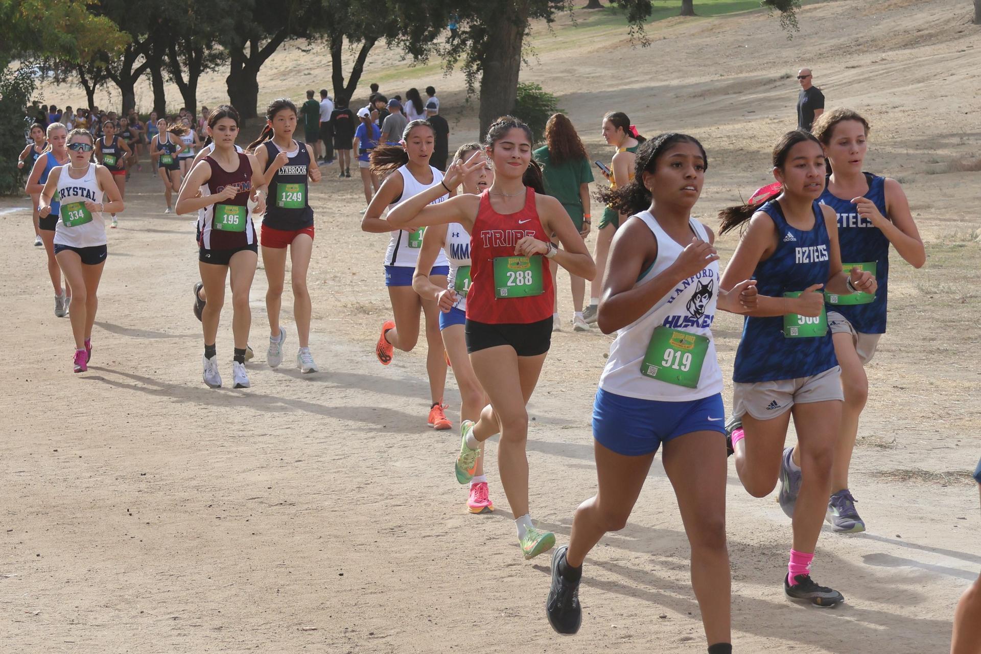 cross country runners in action
