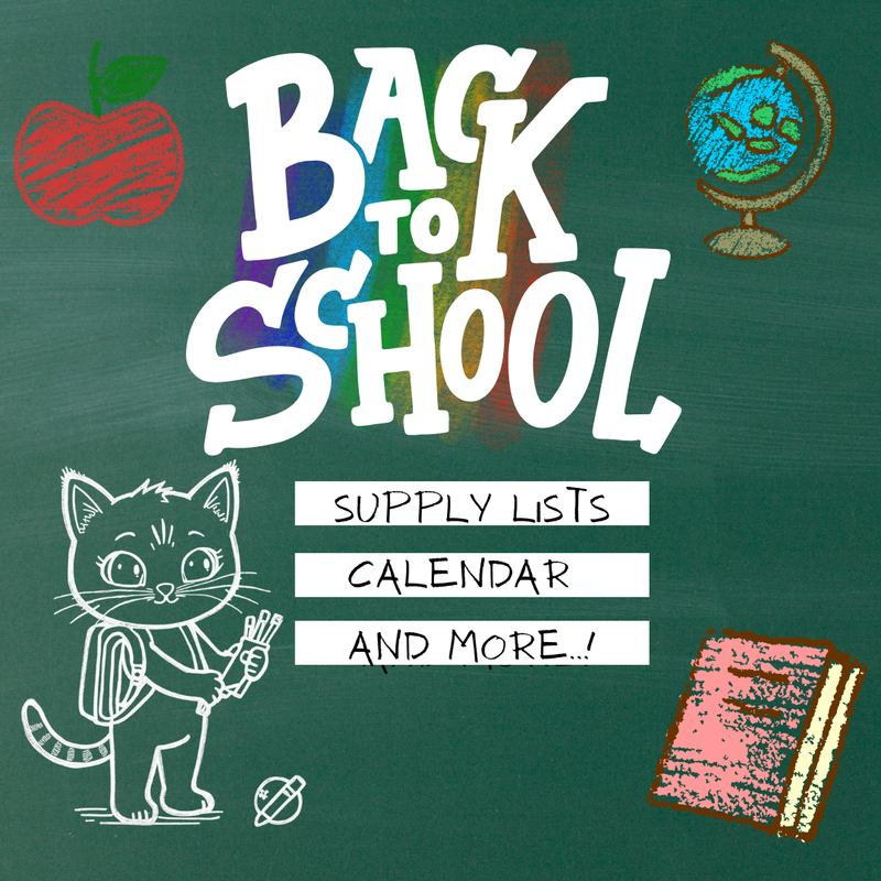 Colorful back to school design with a cat, supplies, and playful elements.