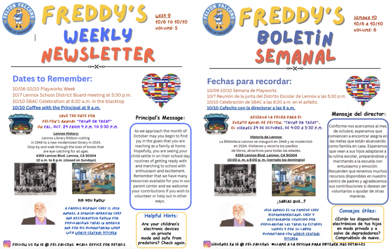 weekly bulletin