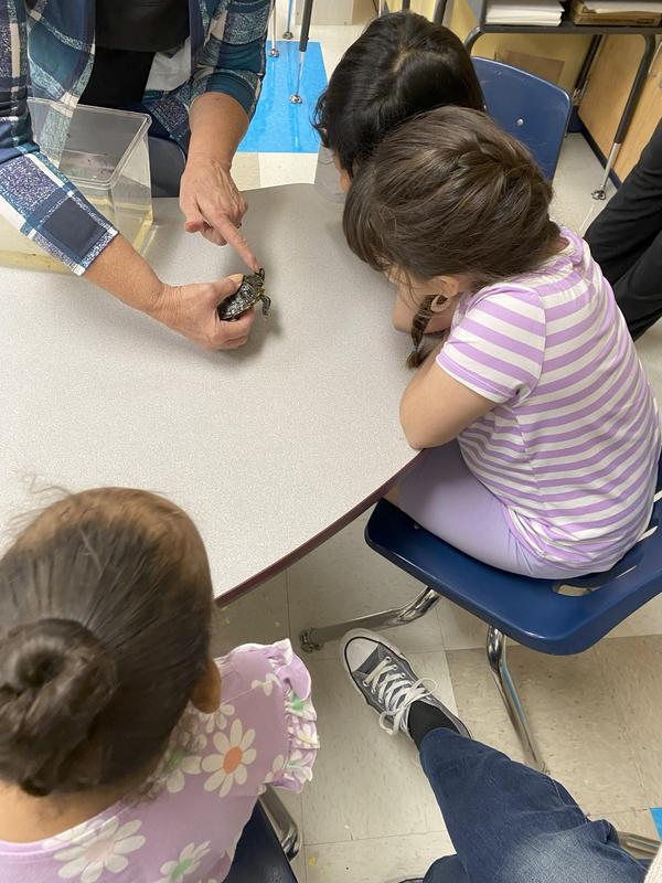 Turtle Tuesday @ Learning Alive