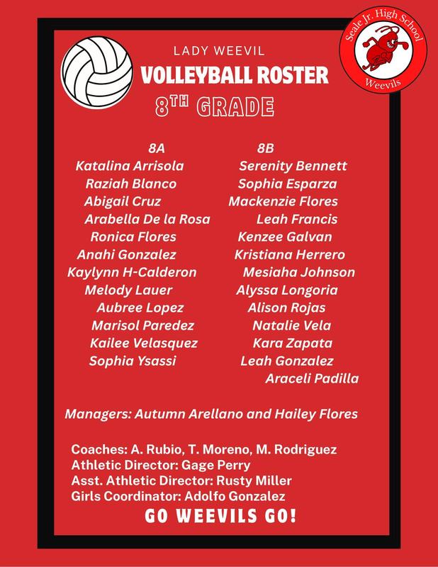 8th Grade Volleyball Team