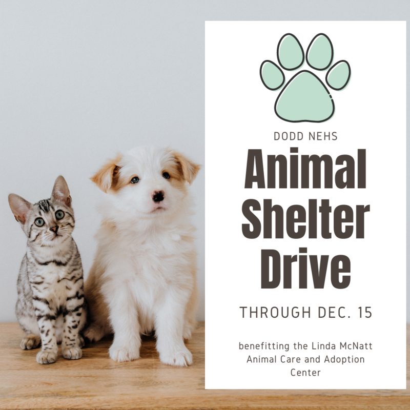 NEHS Animal Shelter Drive Featured Photo