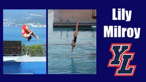 Split image of two divers mid-air against ocean view, and completing a dive in pool. Blue background with "Lily Milroy" text and YL logo on right.