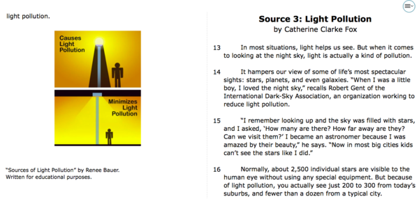 LIGHT POLLUTION  2.png