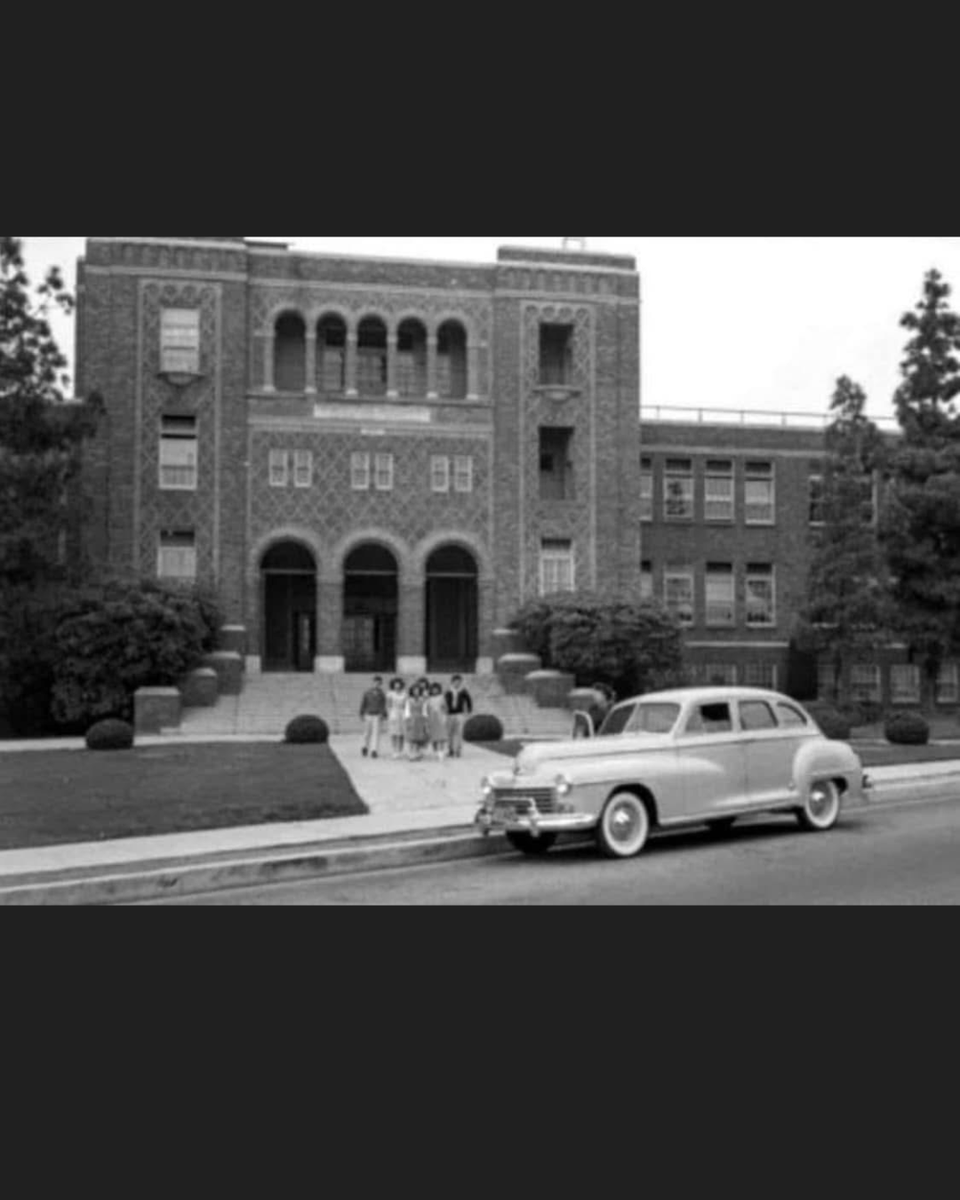 Stevenson early year