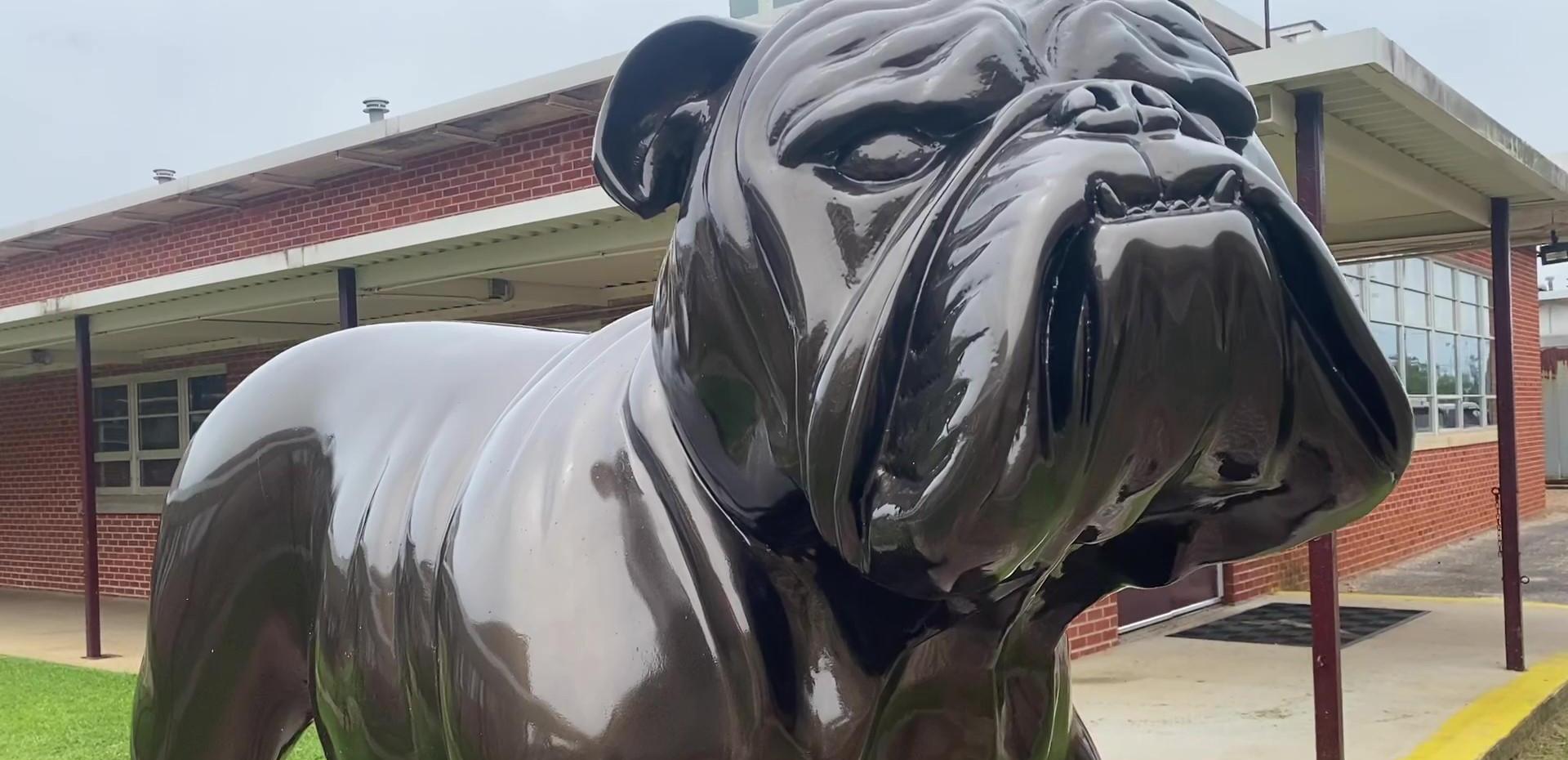Close-up of a large, shiny bulldog statue in front of a school building.