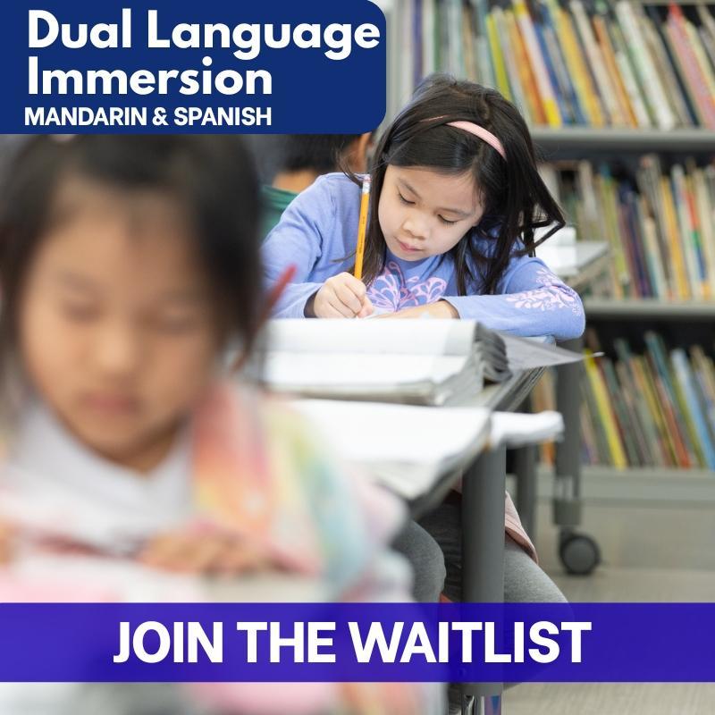 A female student studying in class