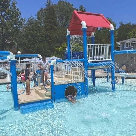 Swimming at Summer Camp