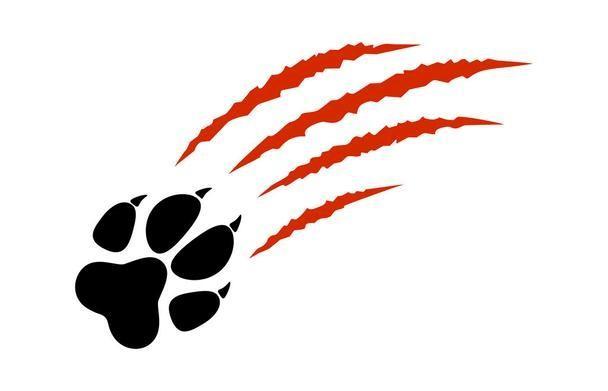 paw