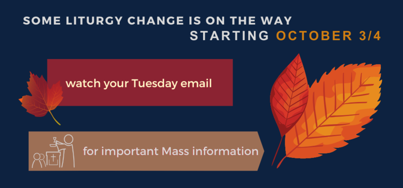 watch your Tuesday email Featured Photo