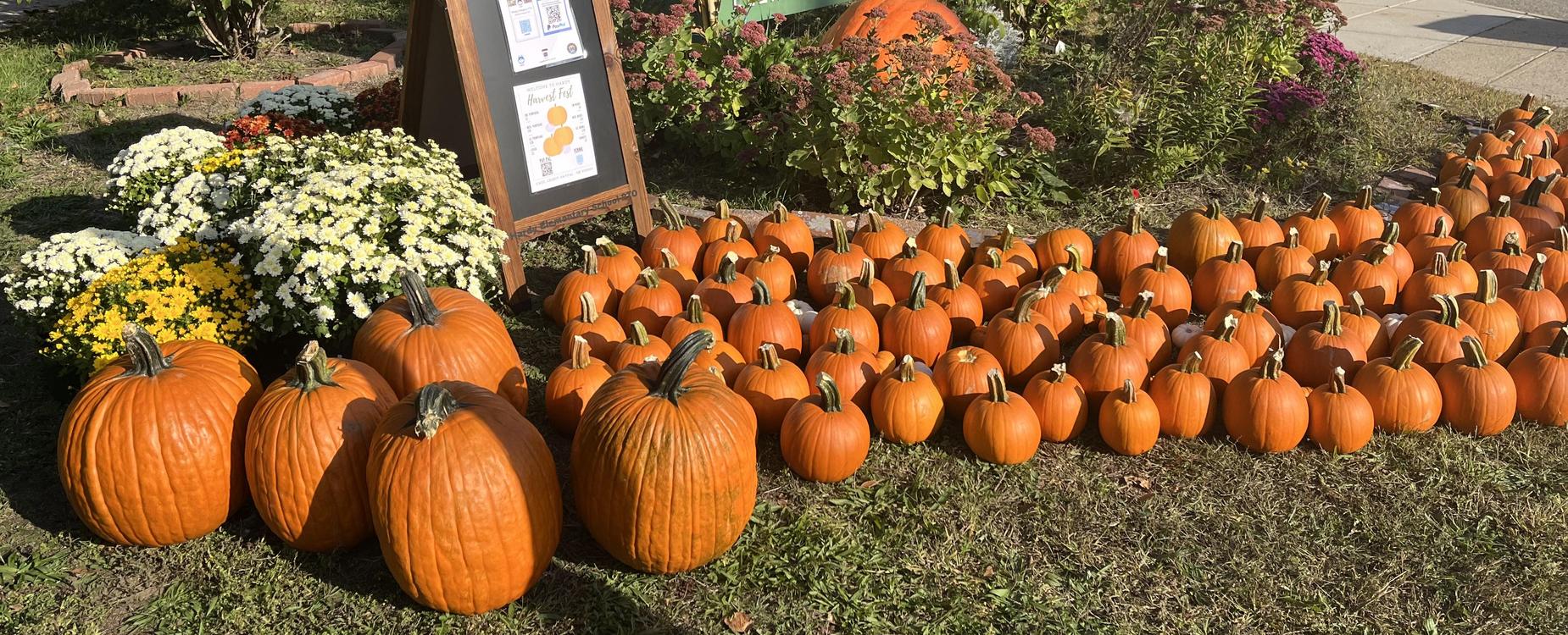 Harvest Fest 2025