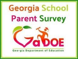 GaDOE survey