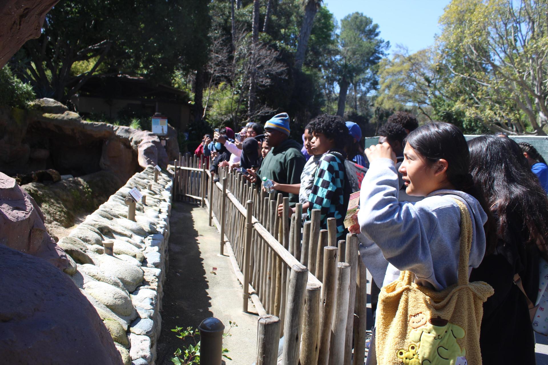 Field trip at the zoo 1