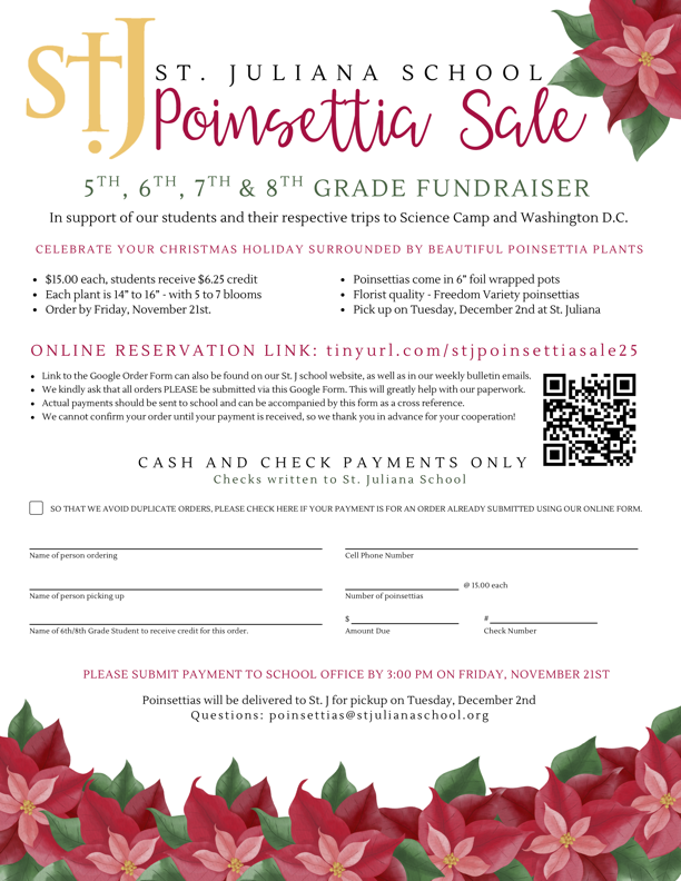 Poinsettia Featured Photo