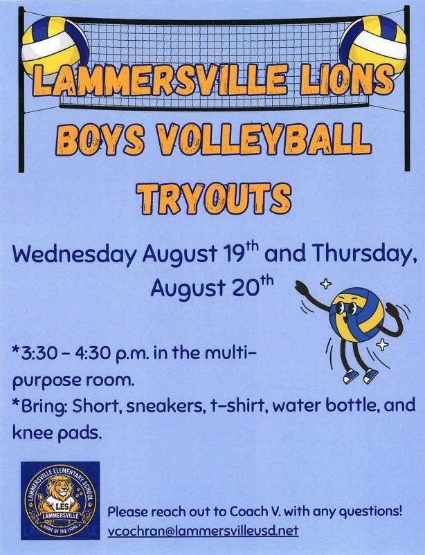 Boys Volleyball Tryout Flyer