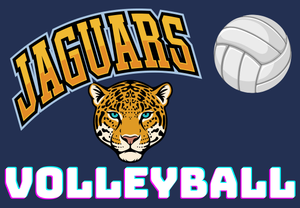 Volleyball Open Gym