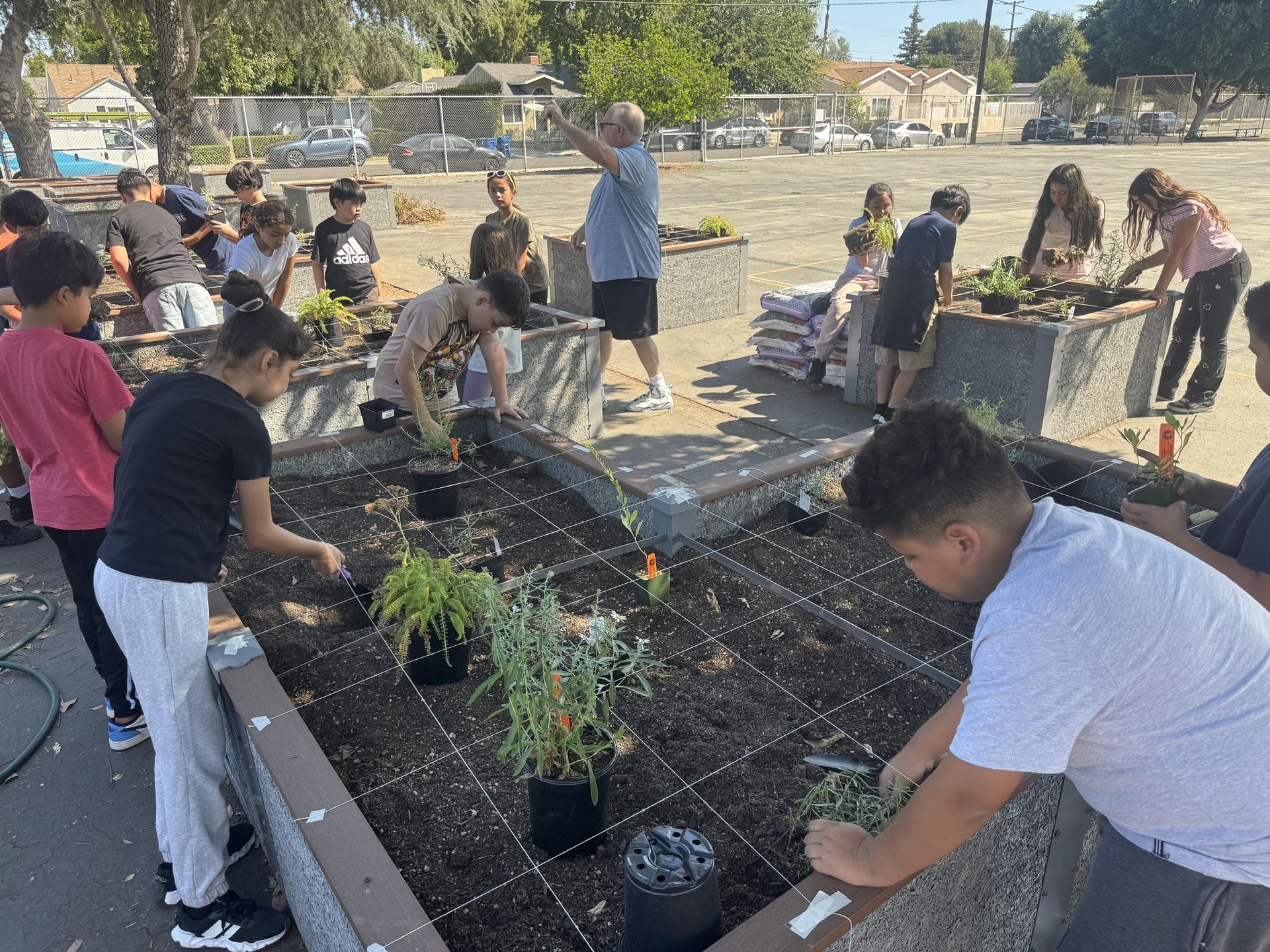 Lorne's Monarch Butterfly Sanctuary Garden