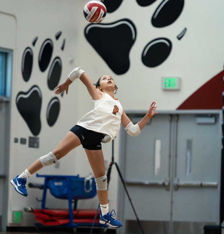 playoffs announcement