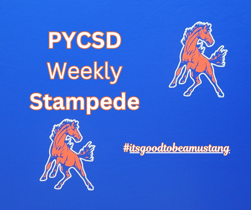 Weekly PYCSD Stampede