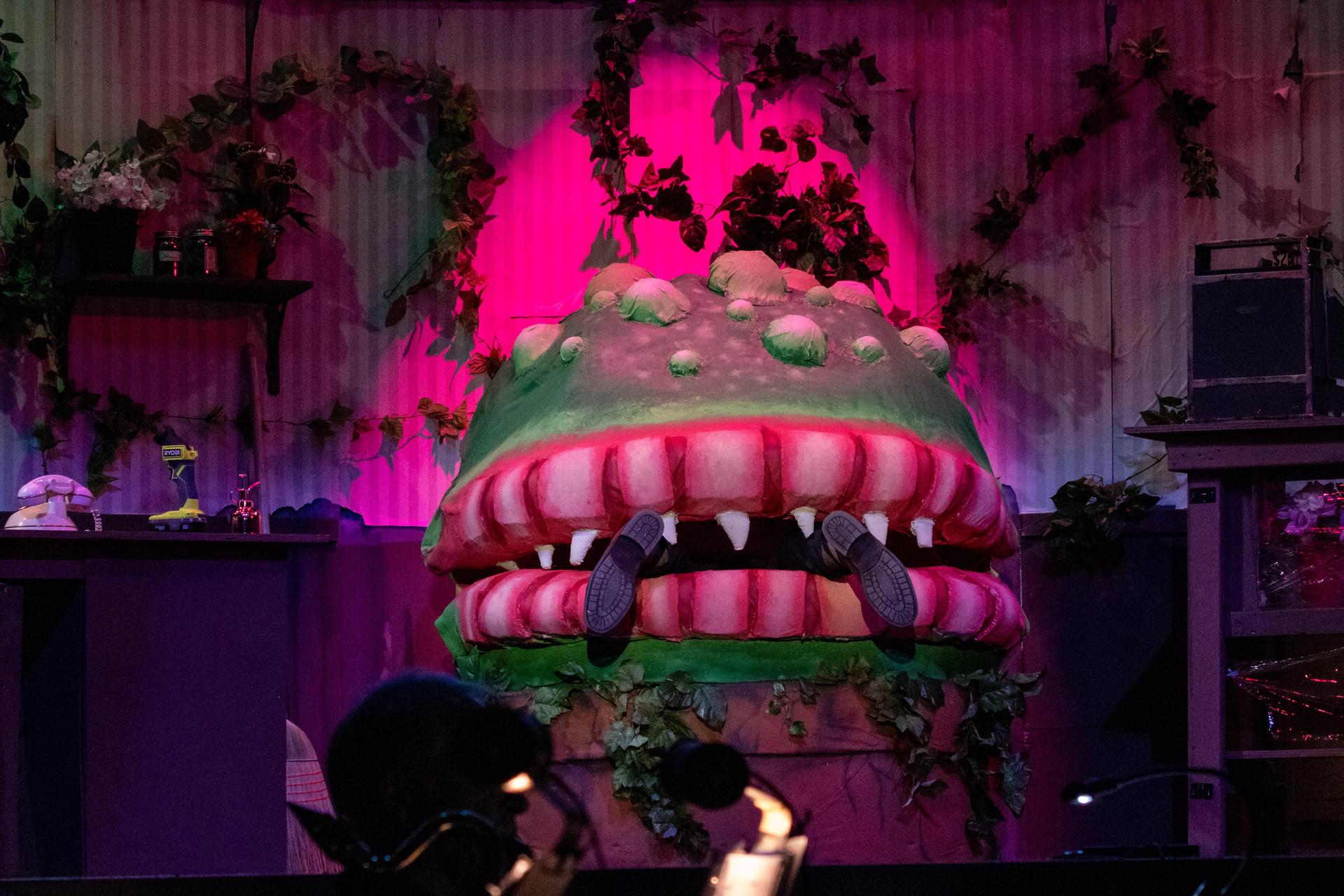 A scene from Little Shop of Horrors