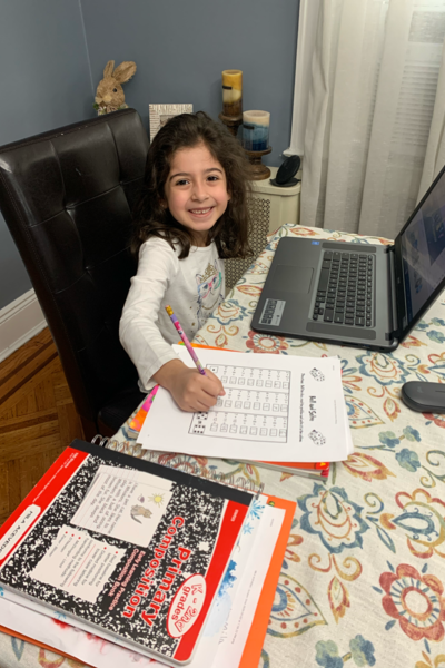 PS 229 Emanuel Kaplan