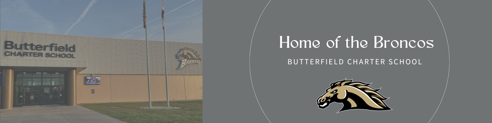Website Header