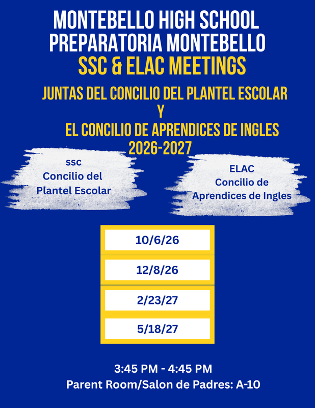 Blue Flyer with text