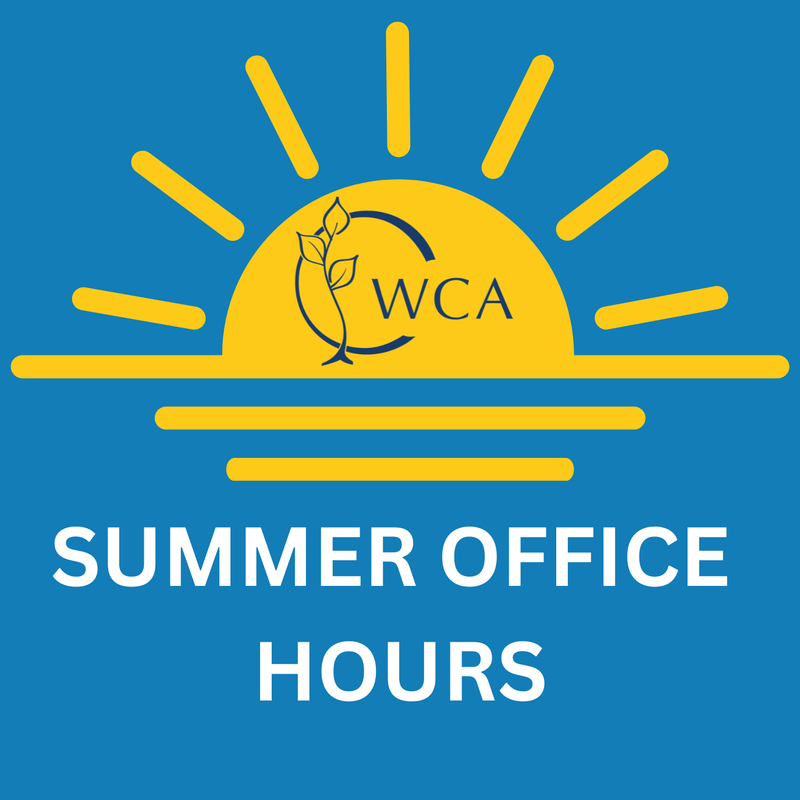 Summer Office Hours
