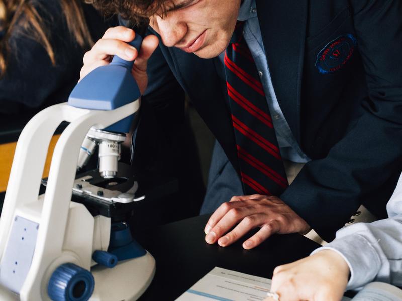 microscope