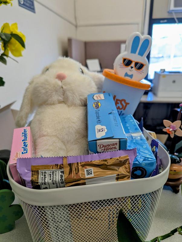 Easter Basket for Champion Raffle