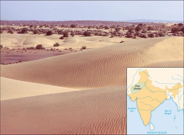 Thar Desert PICTURE.jpg