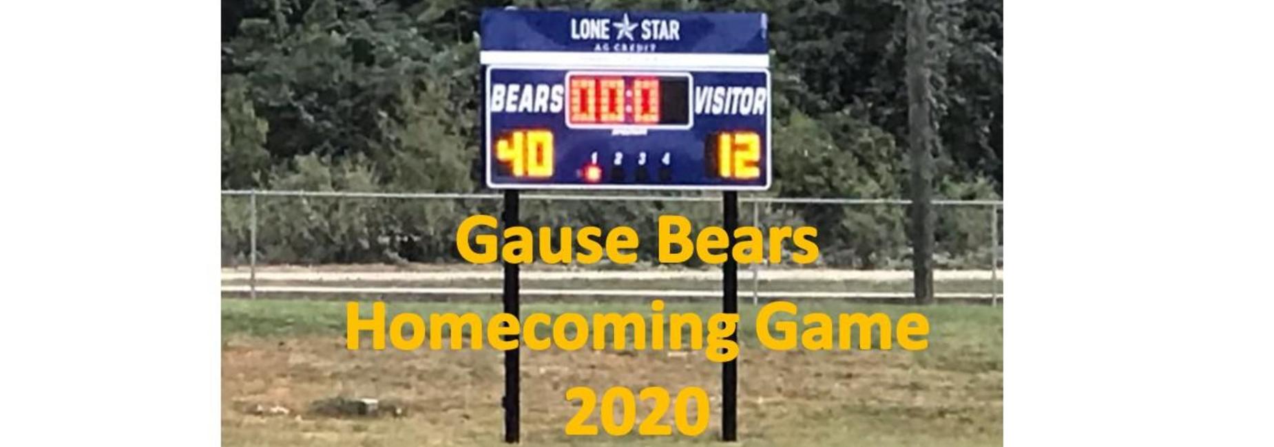 Gause ISD score