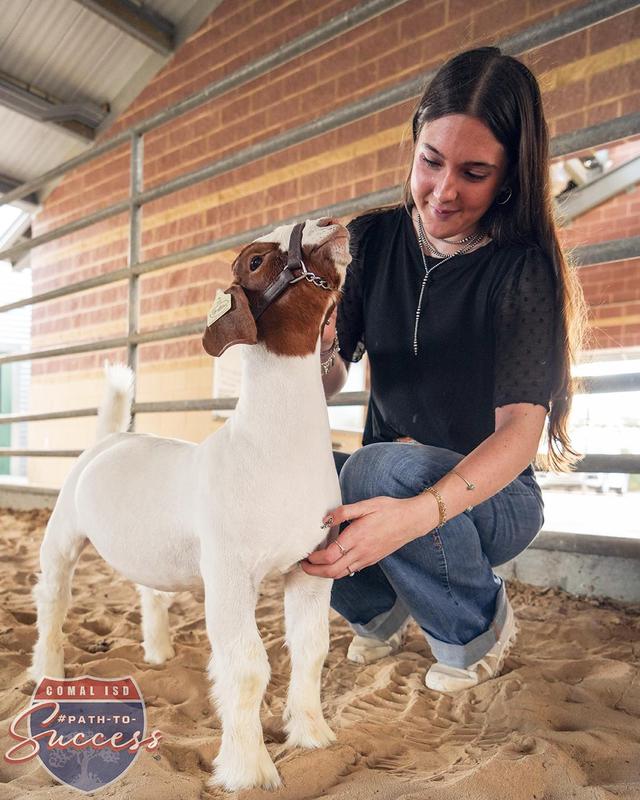 Canyon Lake High School senior Trinity Bryan showing her goat.