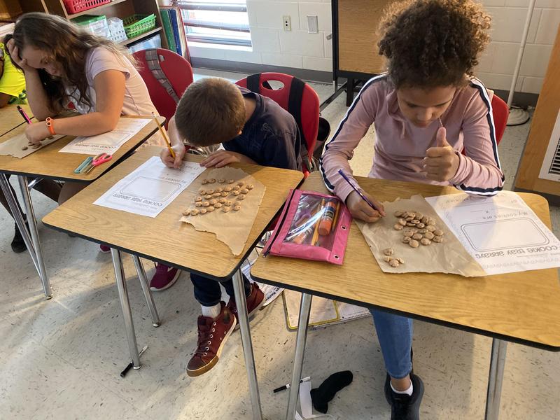 Mrs. Davis' class makes arrays Featured Photo