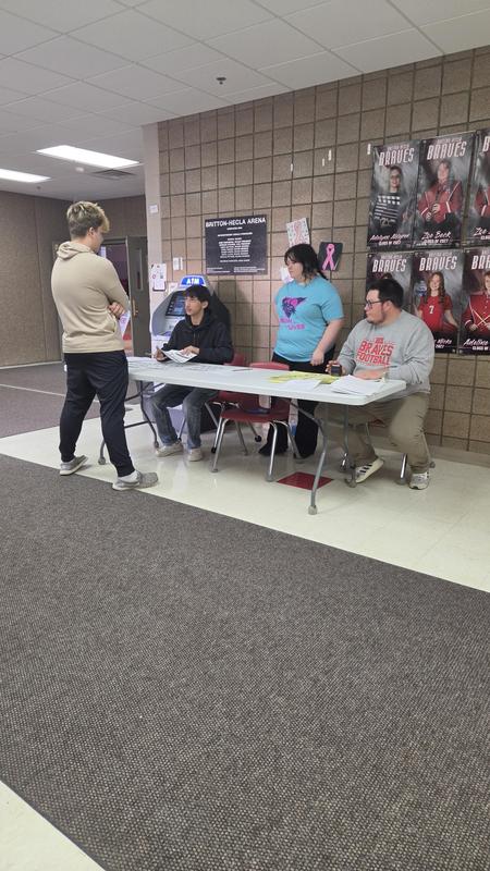 Mock election