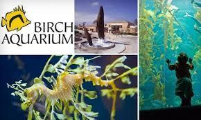 Birch Aquarium