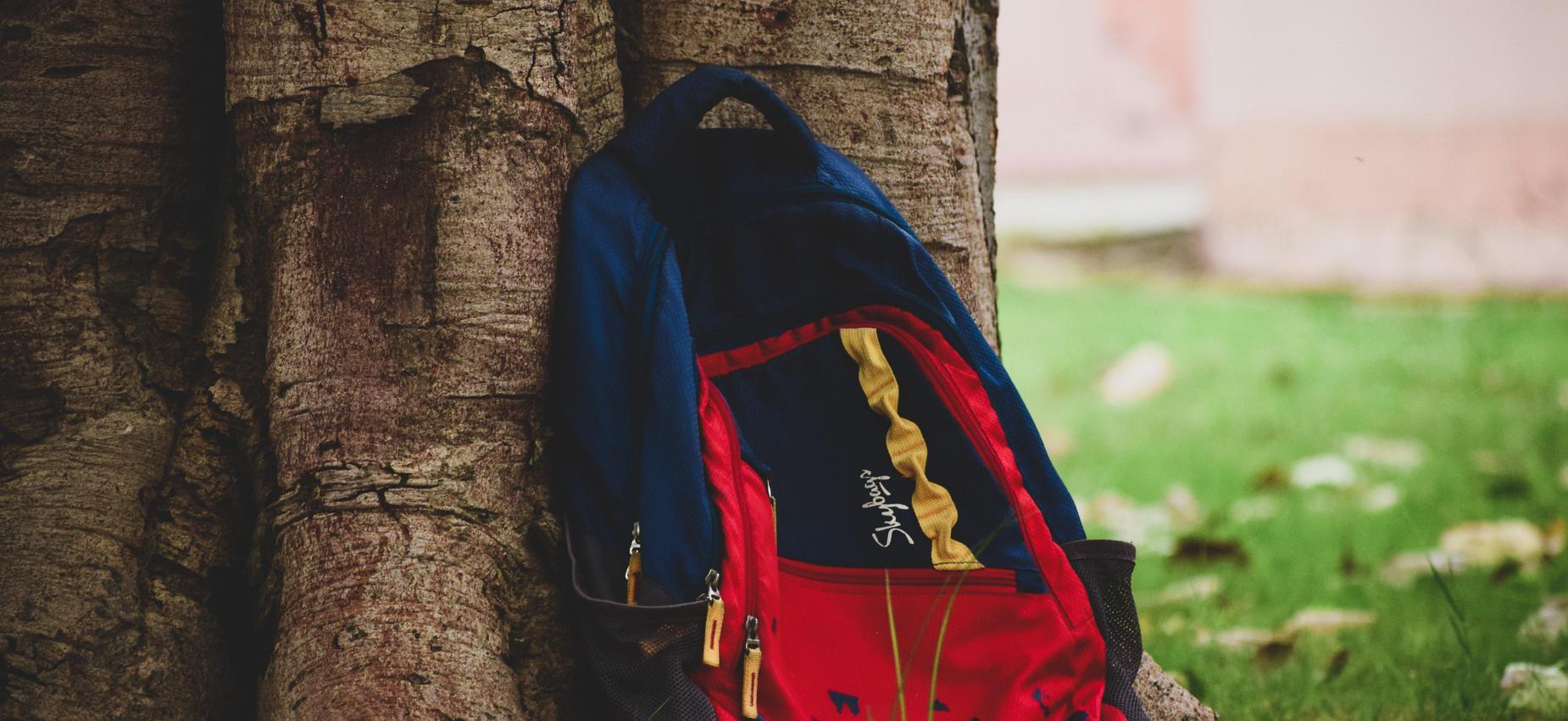 A red and blue backpack resting against a tree trunk in a grassy area.