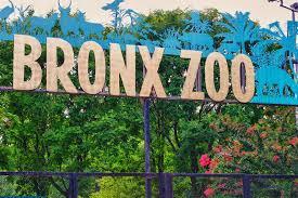 Job Opportunity at Bronx Zoo