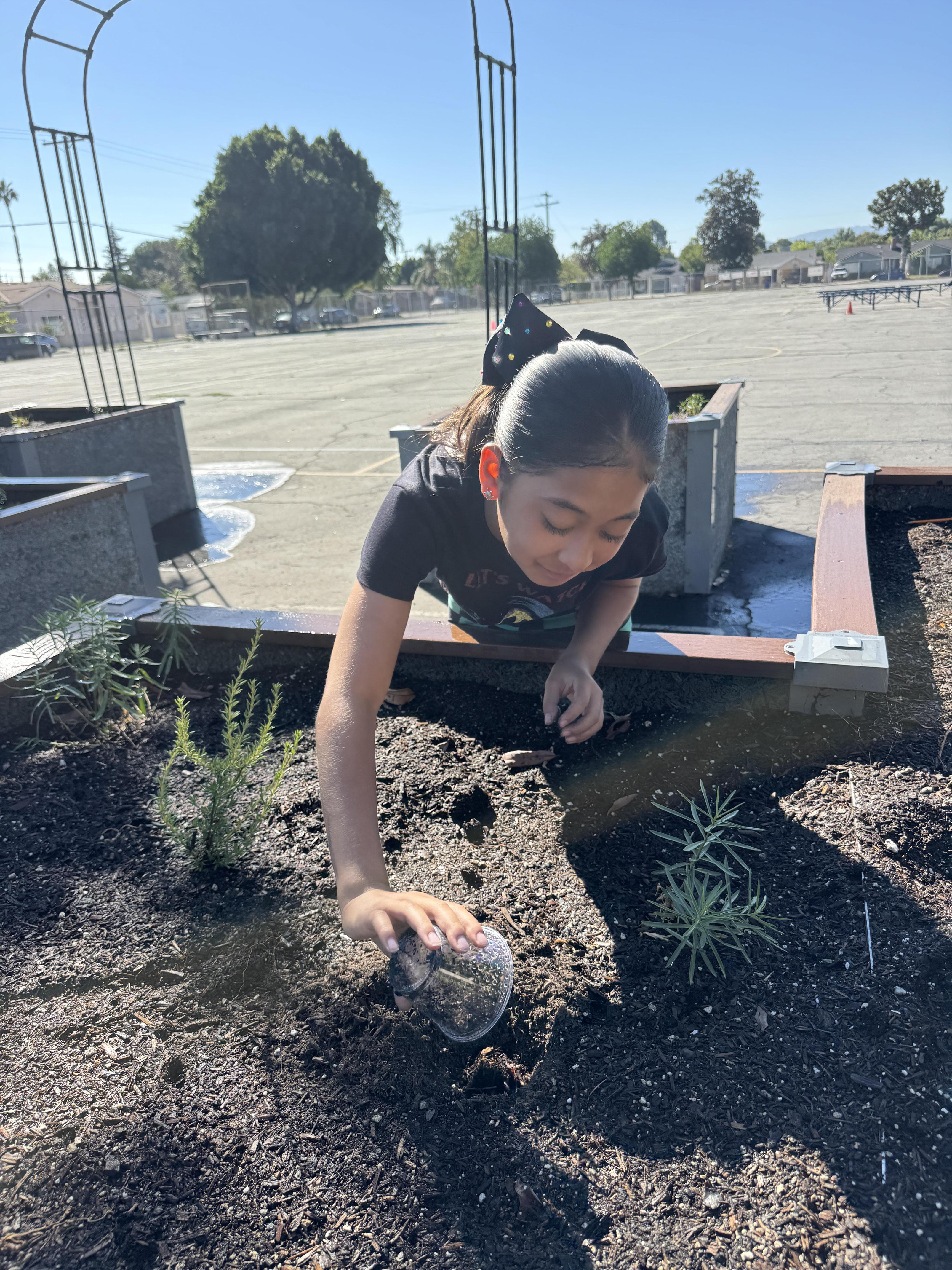 Students working on stewardship project