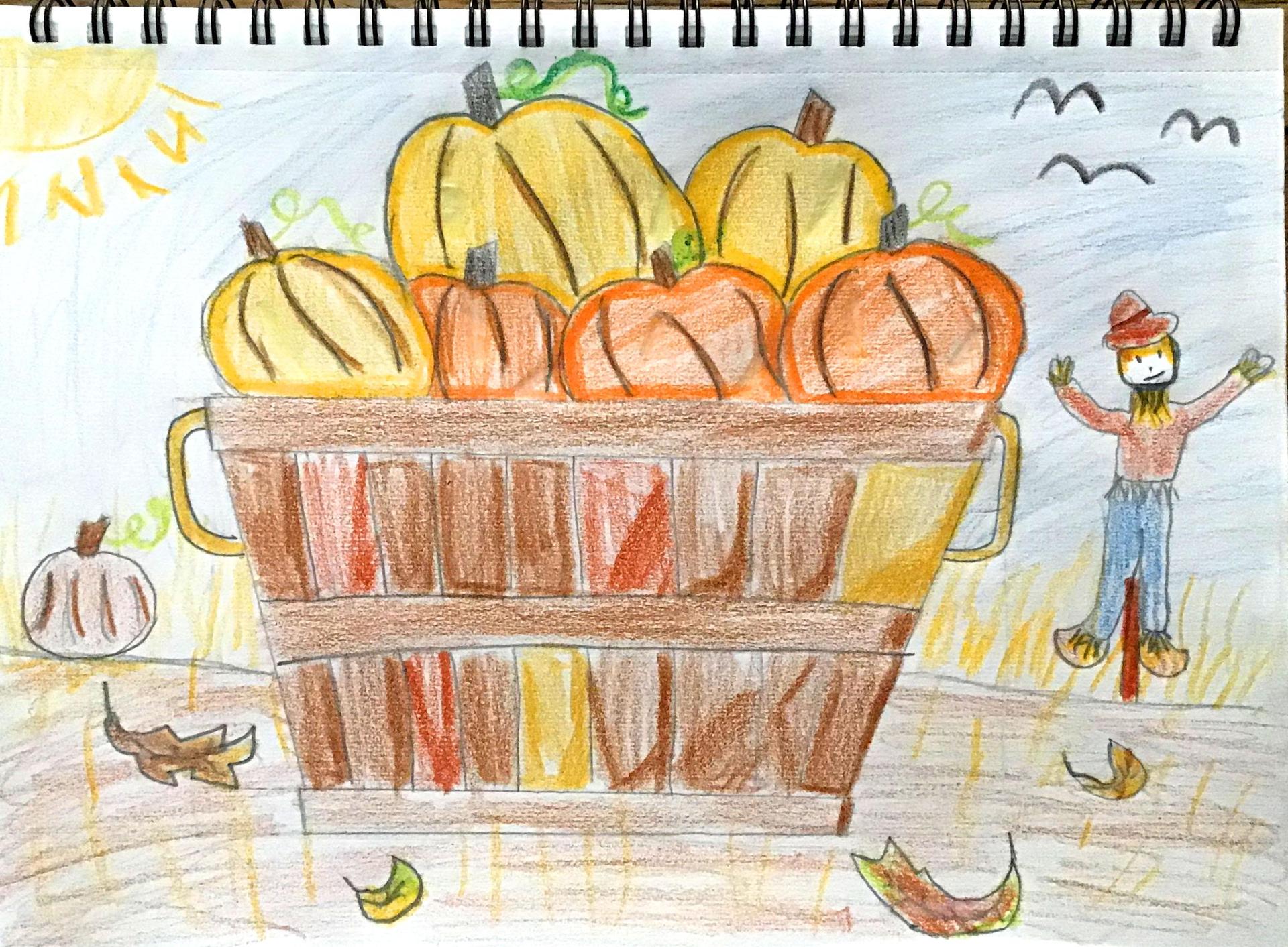pumpkins in a basket