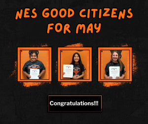 Good Citizen