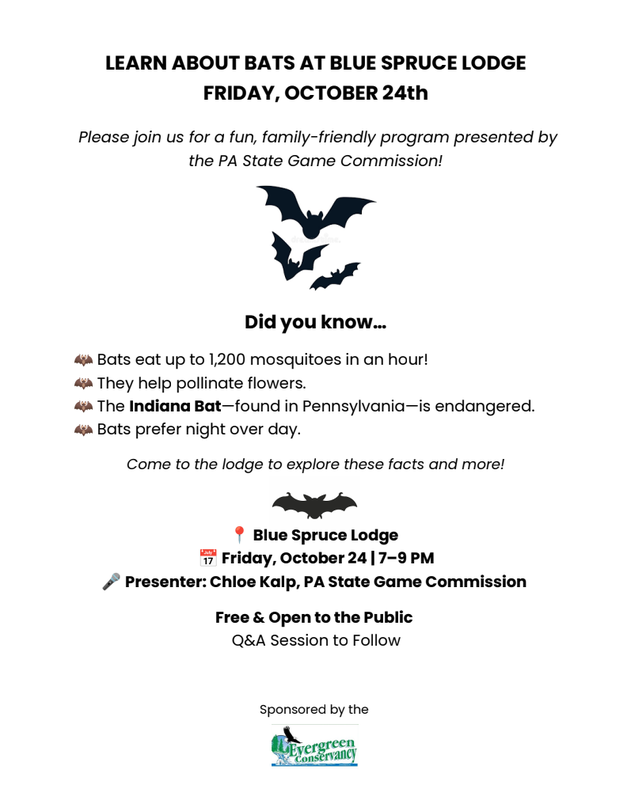 bats on a flyer