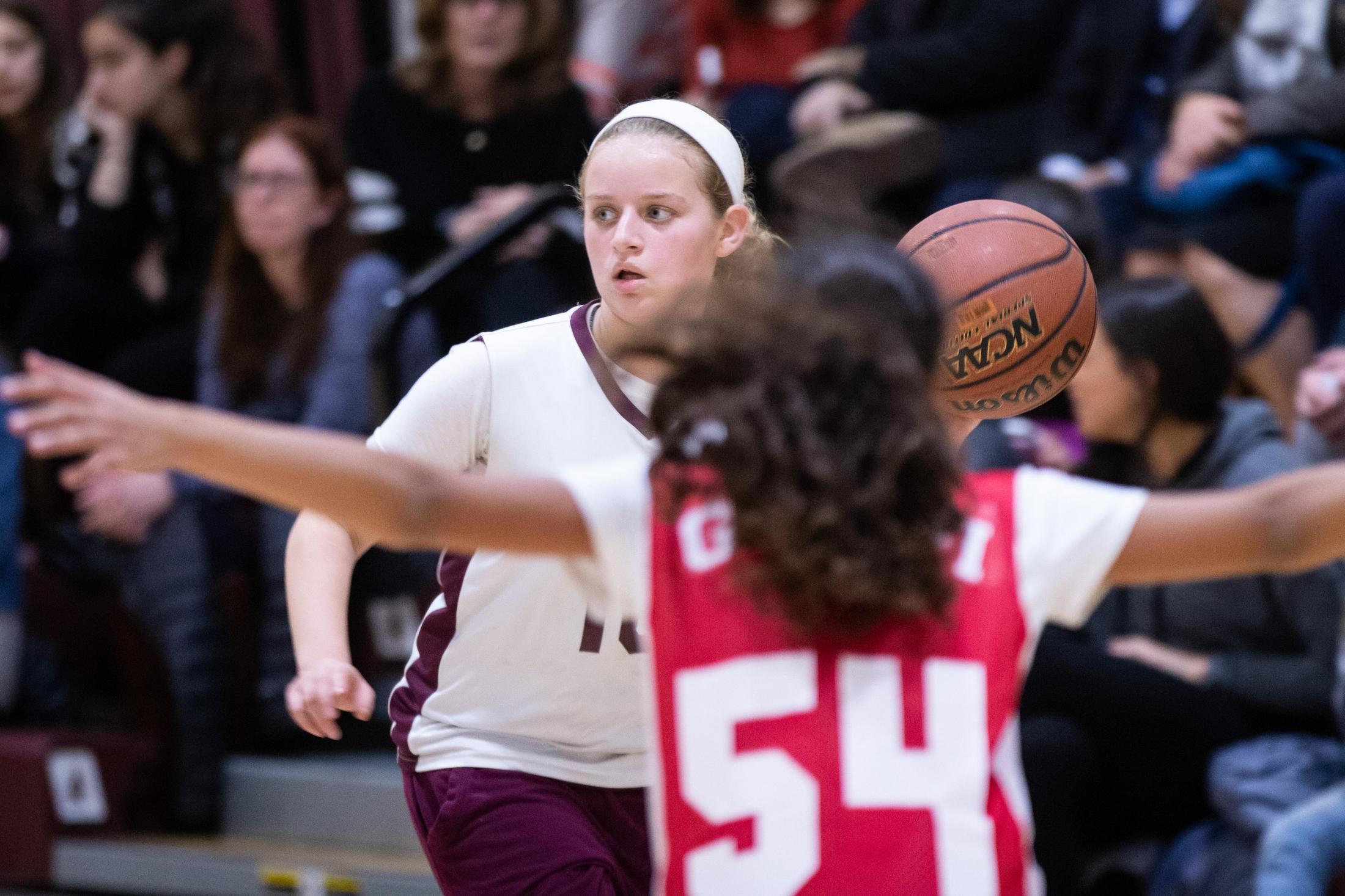 Queen Bees Basketball