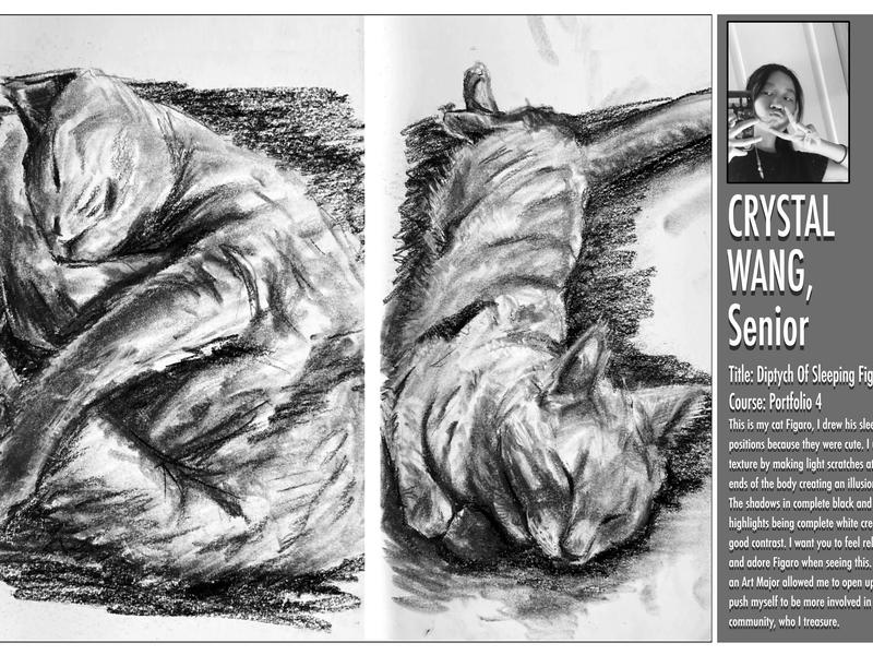 Two black and white sketches of a sleeping cat, highlighting its relaxed form and features.